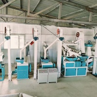 Machine de traitement de moulin à riz De-Stoner nettoyeur de paddy combiné 800-1000 kg par heure moteur d'état à usage domestique