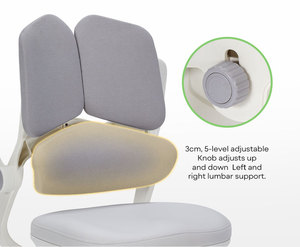 Chaise d'étude ergonomique pour <span class=keywords><strong>étudiant</strong></span>s et enfants, design moderne, accoudoirs réglables, soutien lombaire 4D, pour l'école, la <span class=keywords><strong>chambre</strong></span> et le salon - Product Image 5