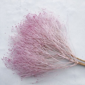 Fiori Stabilizzati Stile Ins 2026 di Tendenza, Erba Fantasia, Fiori Naturali Decorativi, Fiori Secchi per Decorazioni Casa/Matrimonio - Product Image 1