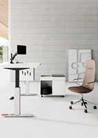 Escritorio Ejecutivo de Lujo con Patas de Aluminio, Altura Ajustable Eléctricamente, Mesa de Oficina Individual para Trabajar Sentado o De Pie, Venta al Por Mayor Comercial