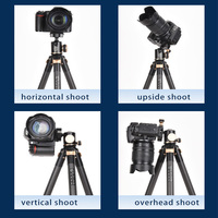 Q8805C Trépied Léger en Fibre de Carbone Professionnel Compact Support de Trépied Numérique Tête Sphérique Panoramique 158cm pour Appareil Photo