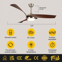 Ventilateur de plafond LED moderne de 54 pouces avec pales en ABS, télécommande optionnelle Tuya Smart, moteur DC silencieux, pour la décoration intérieure