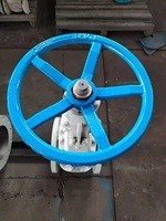 Vanne DMS DOMOS, Vanne à opercule DMS API600, Extrémité à bride plate, 150lb, Corps en acier au carbone, Peinture RAL7035, Compuerta Valvulas