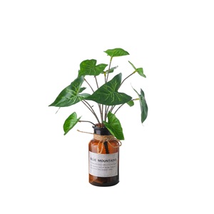 Plante Artificielle CallaFloral Syngonium à 12 Têtes en PVC, Décoration de Mariage, Fournitures Artisanales, Décoration Intérieure Écologique - Product Image 5
