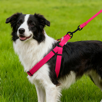 Harness Anjing MK Factory Customized Fashion RIBBONS dengan Buckle Adjustable, Kancing Transparan, Tahan Air, Mudah Dibersihkan, Semua Musim, Semua Ukuran