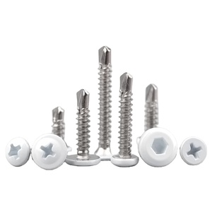 <span class=keywords><strong>Viti</strong></span> Autofilettanti a Testa Tonda/Svasata in <span class=keywords><strong>Acciaio</strong></span> <span class=keywords><strong>Inox</strong></span> 410, Laccate Bianche con Incavo Smussato, <span class=keywords><strong>Viti</strong></span> Autoperforanti - Product Image 1