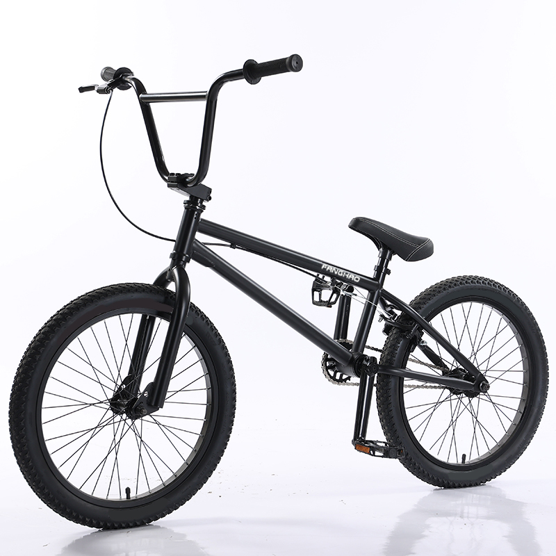 専用 BMXカスタムバイク スタンダードバイク 20インチ - メルカリ