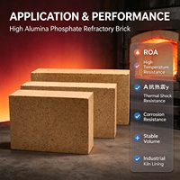 Brique réfractaire en phosphate d'alumine PG-90, bloc à haute teneur en alumine avec une résistance élevée à la compression à froid pour la revêtement des fours