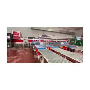 Sermac 2 líneas para aguacate en España diseño profesional línea de clasificación de frutas usadas al por mayor clasificador automático de frutas clasificador - Product Image 1