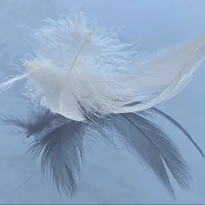 China Factory Supplies Wholesale Luxury 4-6 Cm Duck Feather