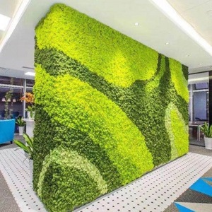 Musgo Eterno para Interiores/Exteriores, Verde Natural, Hecho a Mano, Ecológico, Decoración de Pared, Material para Manualidades, Preservación de Flores para Pascua - Product Image 6