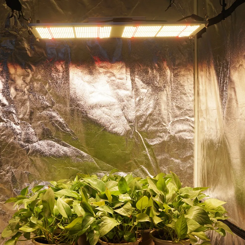 Moko648植物成長水耕栽培LED成長ライトボード3500KLM301B & LH351H240w成長植物LED成長ボックス用