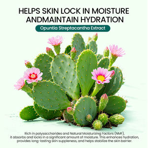 Set de Cuidado Facial de Cactus Natural ICESEA, Hialuronato de Sodio, Hamamelis, Centella Asiática, Nutritivo, Anti-Hinchazón, Hidratación Profunda, Calmante - Product Image 5