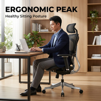Chaise de bureau ergonomique AOR, pour bureau à domicile, assise confortable, écologique, tissu en maille respirant, vente en gros d'usine