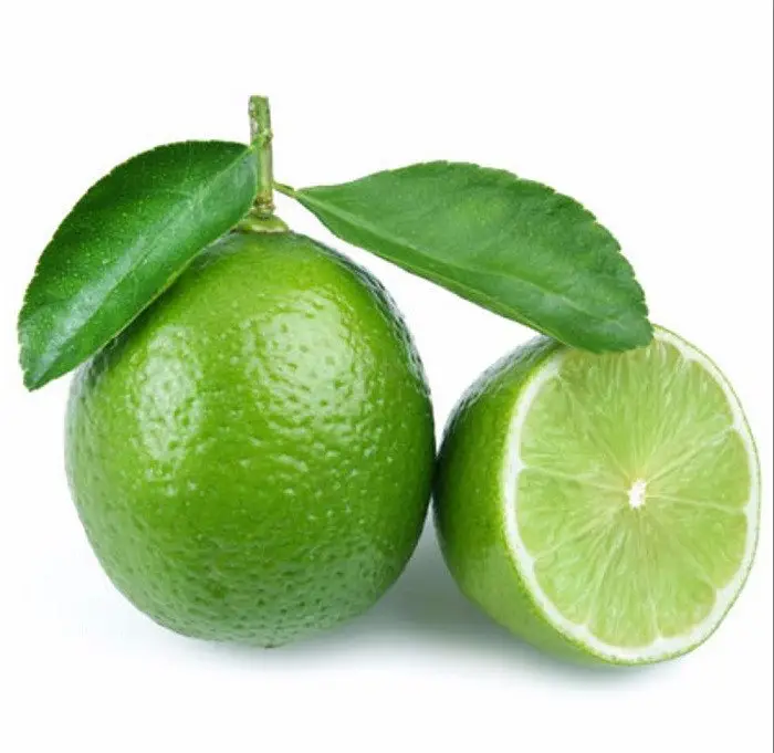 Fresh lemon with reasonable price, fresh lemon without seed, exported from Vietnam fresh lime