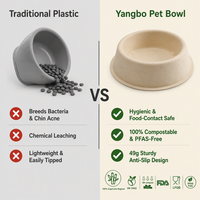 Bol d'alimentation durable en bagasse jetable pour animaux de compagnie, pour la maison, le chenil et les soins des animaux