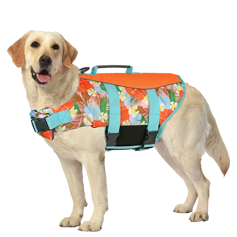 Afghan Hound Dog Food Protein Rich Durable Nutrition