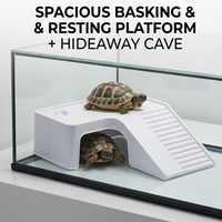 Abri/Caverne Spécial pour Tortues et Reptiles - Matériau PP Durable, Forme Rectangulaire, Abri pour Tortues, Bain de Soleil, Escalade, Fournitures pour Amphibiens
