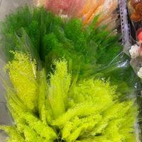 Bunga Kering Lepidium Eternal Little Cui Fan Awet Tahan Lama Grosir Satu Atap untuk Dekorasi Rumah Kantor Hari Ibu