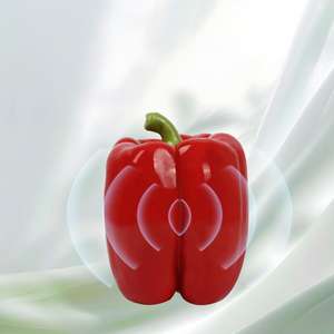 Fabricante al por mayor diseño clásico lindo personalizado perro chirriante juguetes de peluche juguetes orgánicos para mascotas caucho silicona papel látex bambú <span class=keywords><strong>PU</strong></span> - Product Image 5