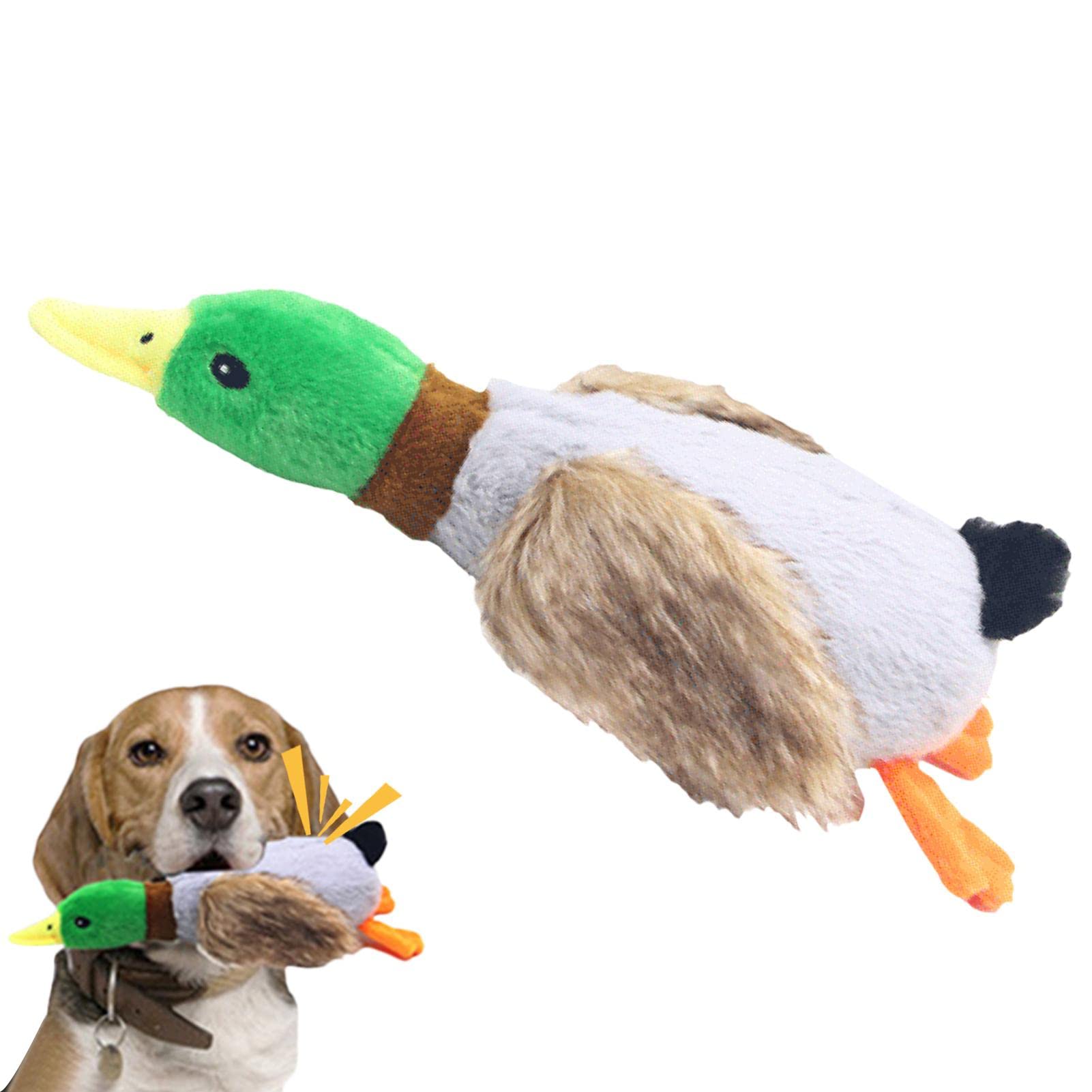 Green Duck Paws