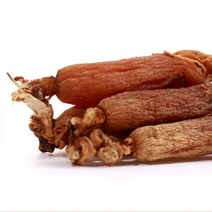 Extrait de poudre de tranches de racine entière de ginseng rouge fermenté de ginseng rouge coréen de qualité supérieure