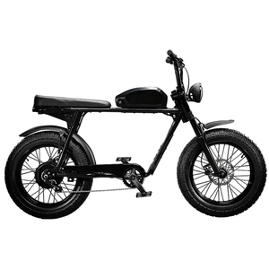 36V <strong>48v</strong> 52v 15ah 20Ah Polly Ebike <strong>Battery</strong> Pack for Bafang <strong>48V</strong> 1000W Motor with Charger - Product Image 6