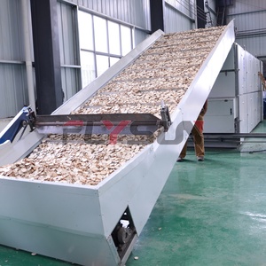 Máquina secadora de banda continua de gran capacidad para la secación de semillas de melón, ampliamente utilizada para el procesamiento de semillas de nueces. - Product Image 6