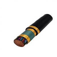Cable de Comunicación HYA |   Cable Telefónico de PVC Multipar de Alta Densidad con Doble Blindaje IP65 para Transmisión de Voz y Datos