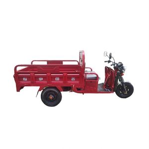 Tricycles à LED fermés d'occasion à vendre – Scooter à 3 roues / Tri-moto de l'usine chinoise - Product Image 5
