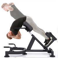 Chaise romaine pliable professionnelle avec hauteur réglable pour l'entraînement des muscles lombaires et abdominaux - Construction en acier