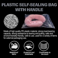 Kostenlose Muster Kleidungsverpackung Selbstklebende Plastiktüten Reißverschluss-Plastiktüten und Selbstversiegelnde Plastiktüten für Dessous