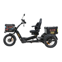 Vélo électrique à 3 roues avec siège large, double moteur 48V 2500W, tricycle cargo à carrosserie ouverte, siège passager pour 2 personnes