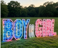 Idées de fête de révélation du sexe en plein air : lettres géantes pour jardin 'BOY' ou 'GIRL' avec piquets
