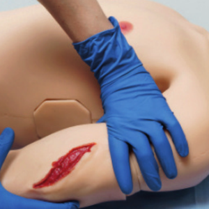 Mannequin de simulation pour adultes Leonardo pour ponction guidée par échographie, cathétérisme veineux central et artériel, et ponction lombaire - Product Image 6