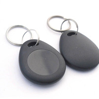 Porte-clés RFID EM4100, 100 pièces, verrouillage de porte, ABS