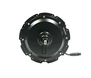 Moteur BLDC personnalisable 350W à prix d'usine, 154 rayons, pour conversion de vélo électrique, moteur de moyeu 154 rayons pour jante nue - Product Image 4