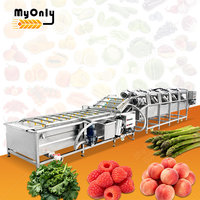 Chaîne de séchage de fruits MY : Machine de lavage et de séchage pour tomates, mangues, laitues et légumes