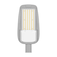 Lampadaire LED IP65 IK10 Étanche 180 Lm/W Haute Luminosité pour Éclairage Public Urbain et Parking
