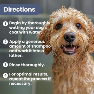 カスタムロゴ入り pHバランス調整済み 32:1 超濃縮消臭・フレッシュニングドッグシャンプー（プロの犬用グルーマー、ペットスタイリスト向け） - Product Image 6