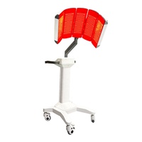 Lampe de thérapie par lumière rouge à écran tactile OEM ODM pour tout le corps, machine PDT, dispositif infrarouge 460nm 630nm 850nm, panneau de thérapie par lumière rouge LED