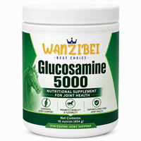 Service OEM/ODM : Supplément de Glucosamine pour Chevaux 5000, Poudre 16 Oz, Soutien pour la Santé des Hanches et des Articulations des Chevaux