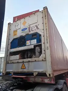 20ft En 40ft Koelcontainer Prijs Over Ontploffing Vriezer Container Koude Kamer