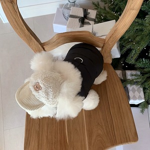 Suministros de fábrica Match Leash Small XS Teddy Vest Coat Ropa para mascotas Ropa de lujo <span class=keywords><strong>al</strong></span> <span class=keywords><strong>por</strong></span> menor <span class=keywords><strong>al</strong></span> <span class=keywords><strong>por</strong></span> <span class=keywords><strong>mayor</strong></span> Ropa para perros Muestra Ropa para mascotas Gato - Product Image 5