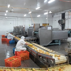 Автоматическая линия по производству консервированных желтых персиков ананасов ломтиков клубники вишни фруктов консервирования - Product Image 5