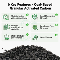 Charbon actif granulaire à base de charbon à haute valeur d'iode pour la purification de l'air, le traitement des gaz industriels, l'élimination des COV