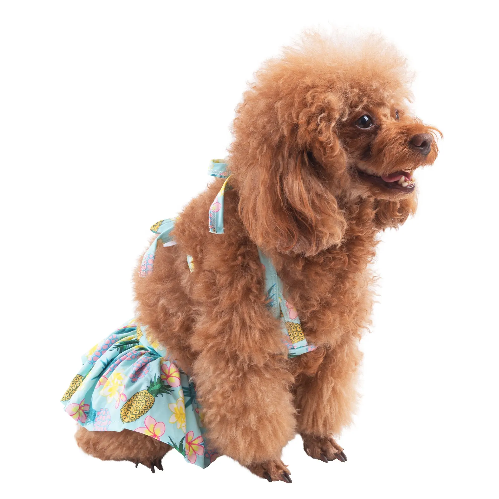 Cutebone Factory Hot Koop 2-Pack Verstelbare Snap Zomer Hond Jurk Zachte Badpak Voor Party Hond Bikini