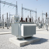 Transformateur immergé dans l'huile à haute tension personnalisé S11-S13-S20 315-1600kVA