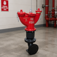 Hydrant d'incendie extérieur en fonte TIEAN, modèle au sol, équipement de lutte contre l'incendie durable