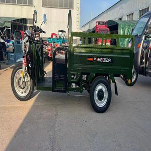 <b>Electric</b> Open Iron Tricycle EEC Certified - Product Image 4